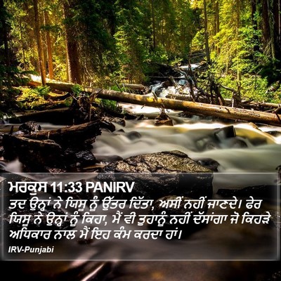 ਮਰਕੁਸ 11:33 PANIRV Bible Verse Image