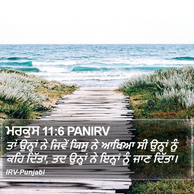 ਮਰਕੁਸ 11:6 PANIRV Bible Verse Image
