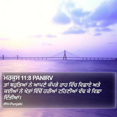 ਮਰਕੁਸ 11:8 PANIRV Bible Verse Image