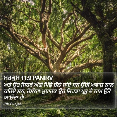 ਮਰਕੁਸ 11:9 PANIRV Bible Verse Image