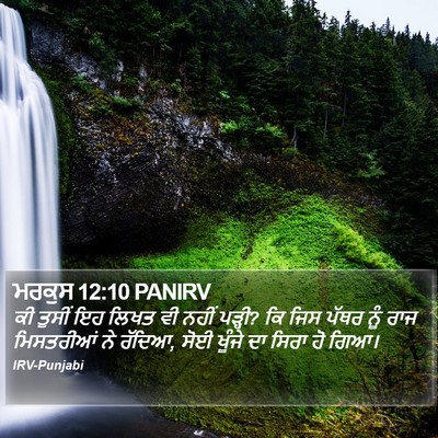 ਮਰਕੁਸ 12:10 PANIRV Bible Verse Image