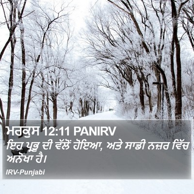 ਮਰਕੁਸ 12:11 PANIRV Bible Verse Image
