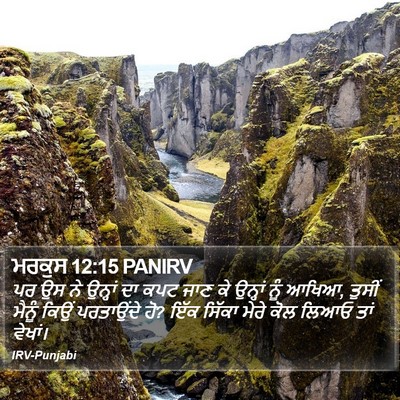 ਮਰਕੁਸ 12:15 PANIRV Bible Verse Image