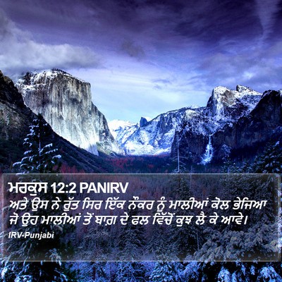 ਮਰਕੁਸ 12:2 PANIRV Bible Verse Image