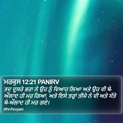ਮਰਕੁਸ 12:21 PANIRV Bible Verse Image