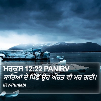 ਮਰਕੁਸ 12:22 PANIRV Bible Verse Image