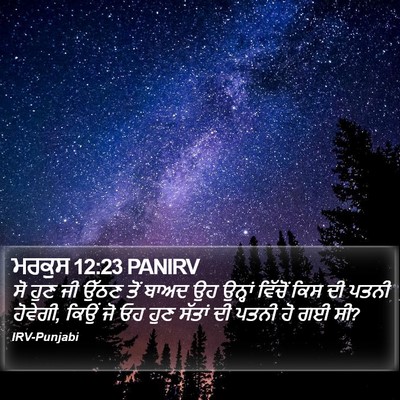ਮਰਕੁਸ 12:23 PANIRV Bible Verse Image
