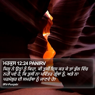 ਮਰਕੁਸ 12:24 PANIRV Bible Verse Image