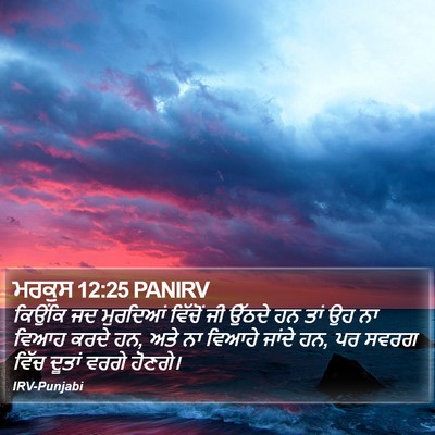 ਮਰਕੁਸ 12:25 PANIRV Bible Verse Image
