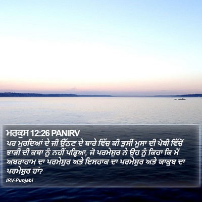 ਮਰਕੁਸ 12:26 PANIRV Bible Verse Image