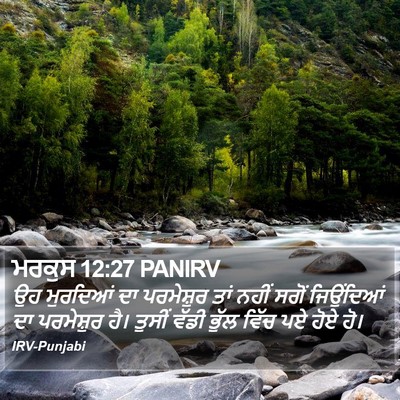 ਮਰਕੁਸ 12:27 PANIRV Bible Verse Image