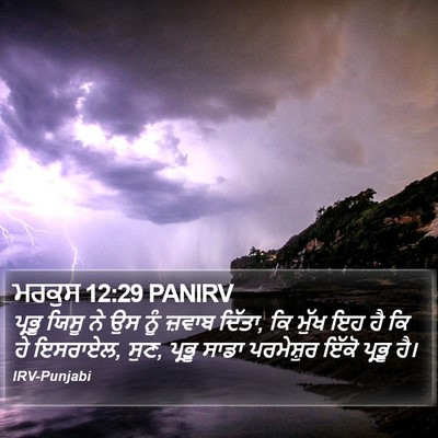 ਮਰਕੁਸ 12:29 PANIRV Bible Verse Image