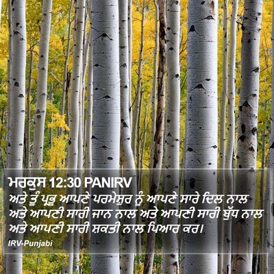 ਮਰਕੁਸ 12:30 PANIRV Bible Verse Image