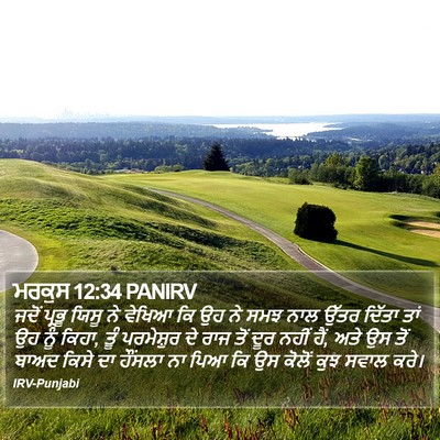 ਮਰਕੁਸ 12:34 PANIRV Bible Verse Image