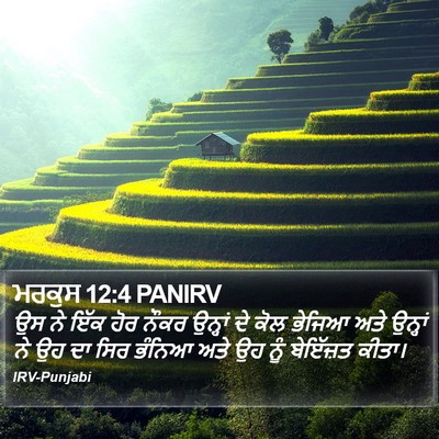 ਮਰਕੁਸ 12:4 PANIRV Bible Verse Image