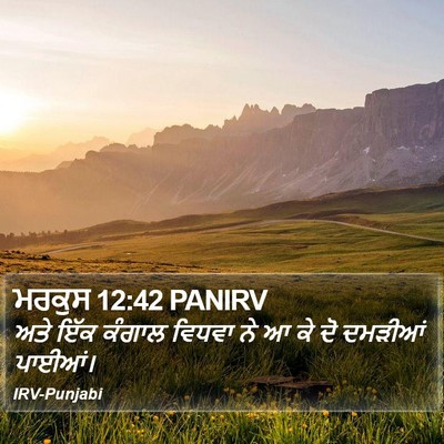 ਮਰਕੁਸ 12:42 PANIRV Bible Verse Image