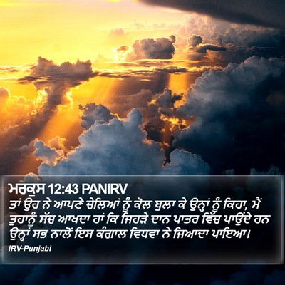 ਮਰਕੁਸ 12:43 PANIRV Bible Verse Image