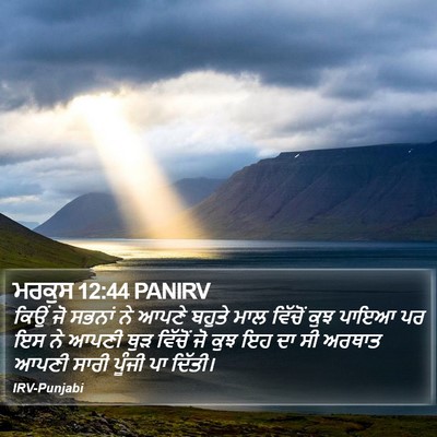 ਮਰਕੁਸ 12:44 PANIRV Bible Verse Image