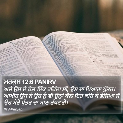 ਮਰਕੁਸ 12:6 PANIRV Bible Verse Image