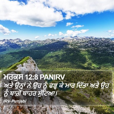 ਮਰਕੁਸ 12:8 PANIRV Bible Verse Image