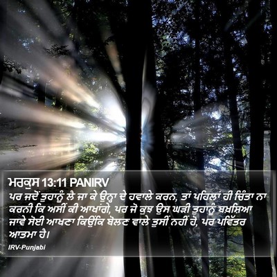 ਮਰਕੁਸ 13:11 PANIRV Bible Verse Image