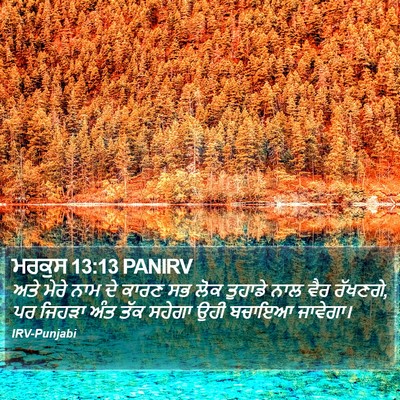 ਮਰਕੁਸ 13:13 PANIRV Bible Verse Image