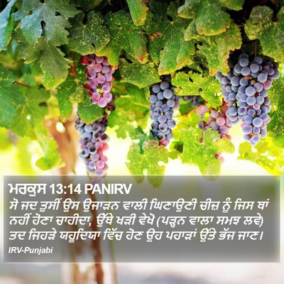 ਮਰਕੁਸ 13:14 PANIRV Bible Verse Image