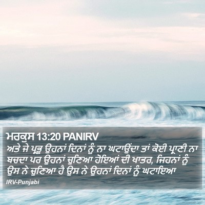 ਮਰਕੁਸ 13:20 PANIRV Bible Verse Image