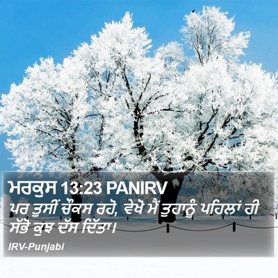 ਮਰਕੁਸ 13:23 PANIRV Bible Verse Image