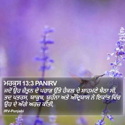 ਮਰਕੁਸ 13:3 PANIRV Bible Verse Image