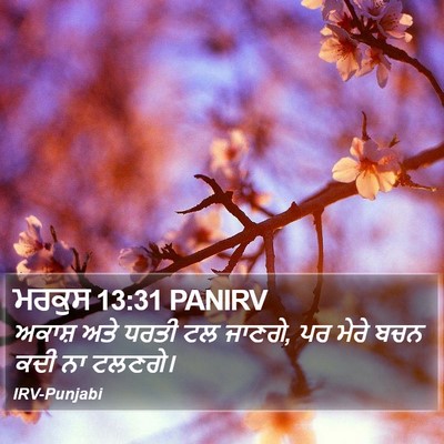 ਮਰਕੁਸ 13:31 PANIRV Bible Verse Image