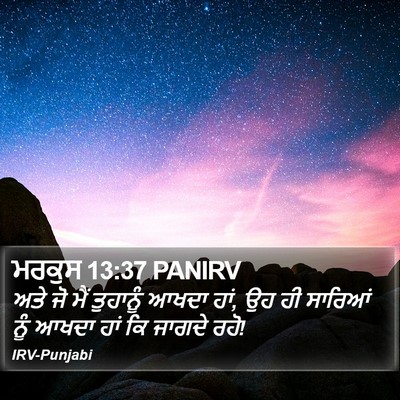 ਮਰਕੁਸ 13:37 PANIRV Bible Verse Image