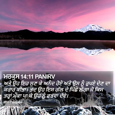 ਮਰਕੁਸ 14:11 PANIRV Bible Verse Image