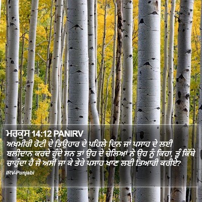 ਮਰਕੁਸ 14:12 PANIRV Bible Verse Image