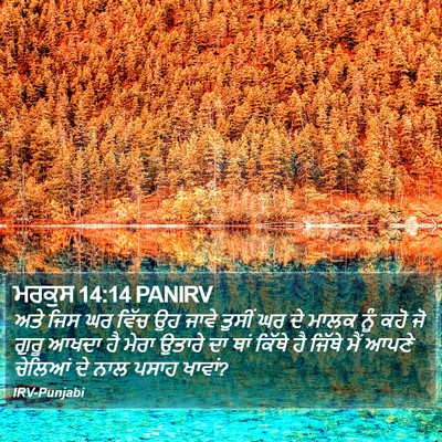 ਮਰਕੁਸ 14:14 PANIRV Bible Verse Image