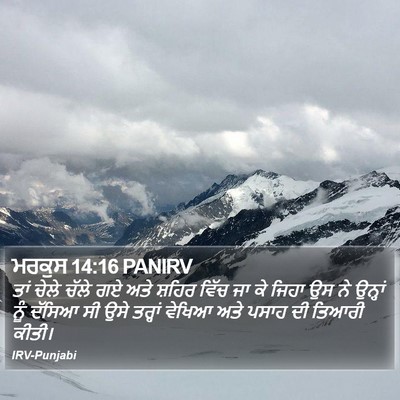 ਮਰਕੁਸ 14:16 PANIRV Bible Verse Image