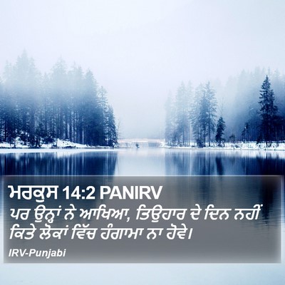 ਮਰਕੁਸ 14:2 PANIRV Bible Verse Image