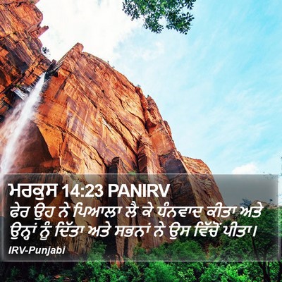 ਮਰਕੁਸ 14:23 PANIRV Bible Verse Image