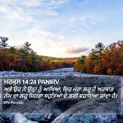 ਮਰਕੁਸ 14:24 PANIRV Bible Verse Image