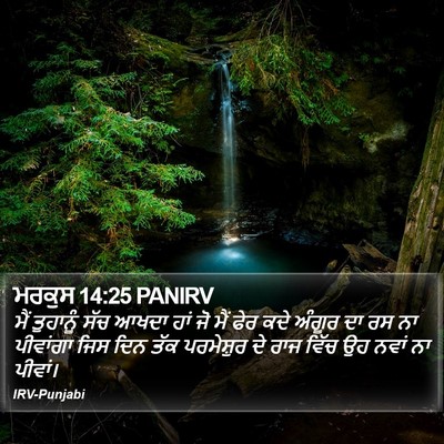ਮਰਕੁਸ 14:25 PANIRV Bible Verse Image