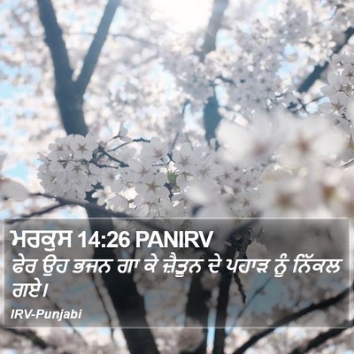 ਮਰਕੁਸ 14:26 PANIRV Bible Verse Image