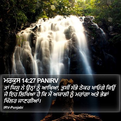 ਮਰਕੁਸ 14:27 PANIRV Bible Verse Image