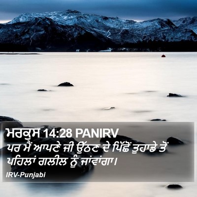 ਮਰਕੁਸ 14:28 PANIRV Bible Verse Image