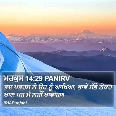 ਮਰਕੁਸ 14:29 PANIRV Bible Verse Image