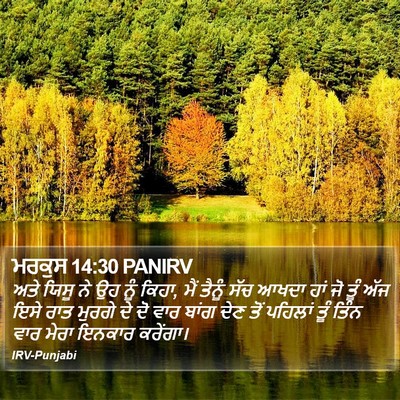 ਮਰਕੁਸ 14:30 PANIRV Bible Verse Image