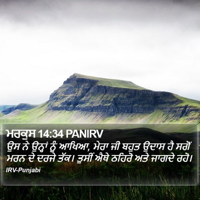 ਮਰਕੁਸ 14:34 PANIRV Bible Verse Image