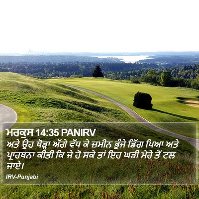 ਮਰਕੁਸ 14:35 PANIRV Bible Verse Image