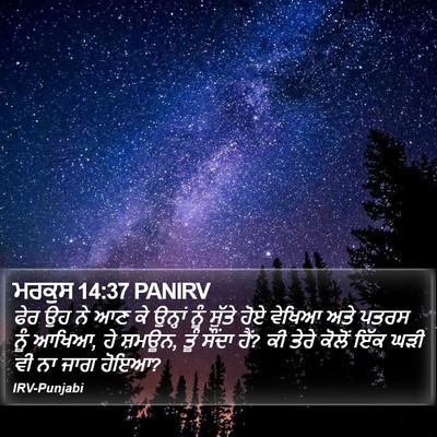 ਮਰਕੁਸ 14:37 PANIRV Bible Verse Image
