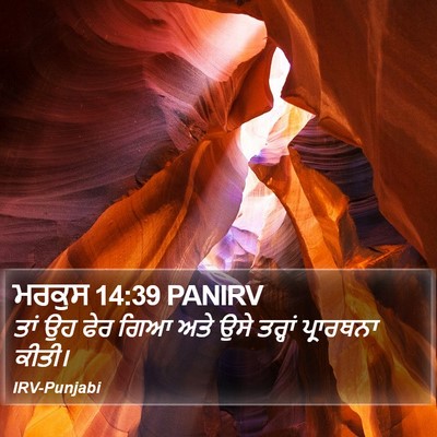 ਮਰਕੁਸ 14:39 PANIRV Bible Verse Image