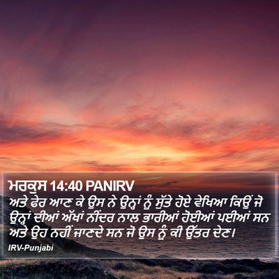 ਮਰਕੁਸ 14:40 PANIRV Bible Verse Image